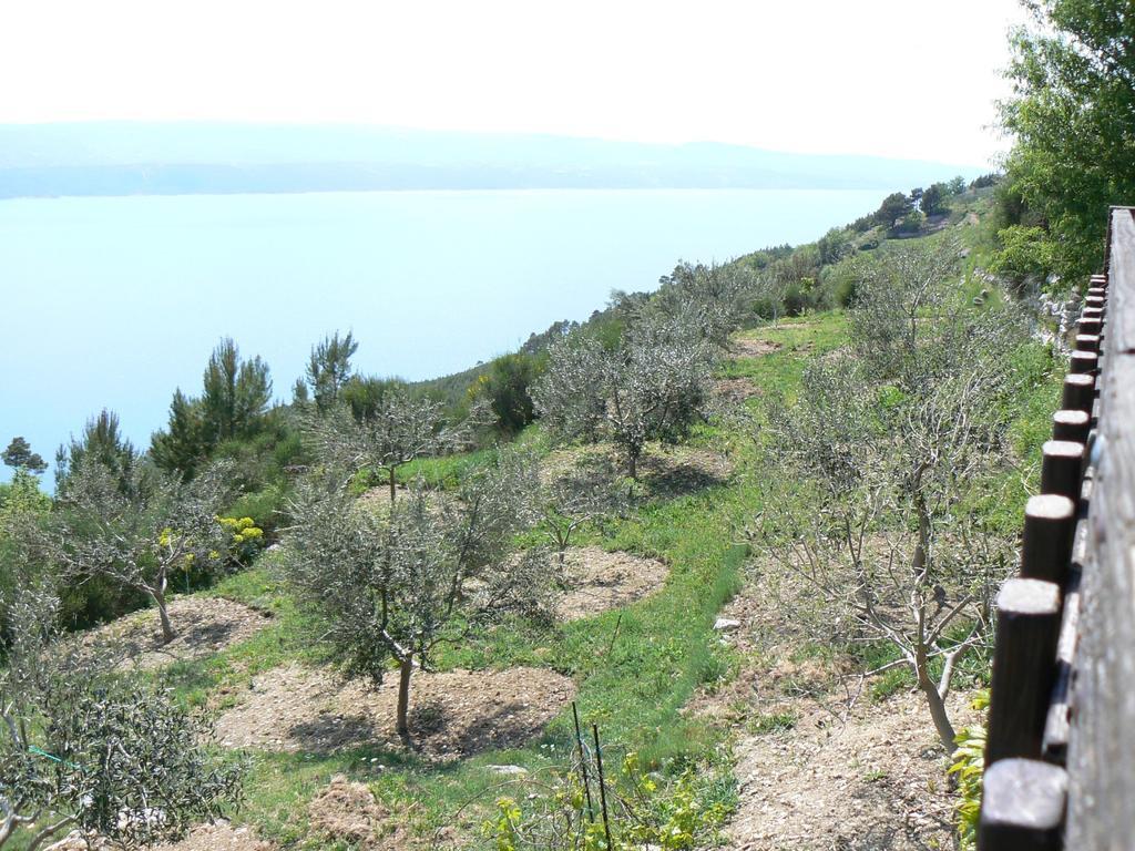 Charismatic Garden Cottage With Sea View Lokva Rogoznica Luaran gambar