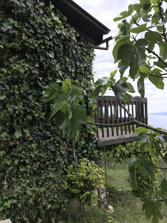 Charismatic Garden Cottage With Sea View Lokva Rogoznica Luaran gambar